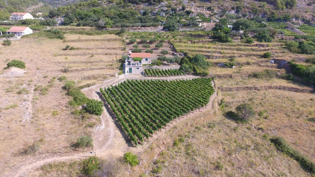 Holiday Home Vineyard House Bol Eksteriør bilde