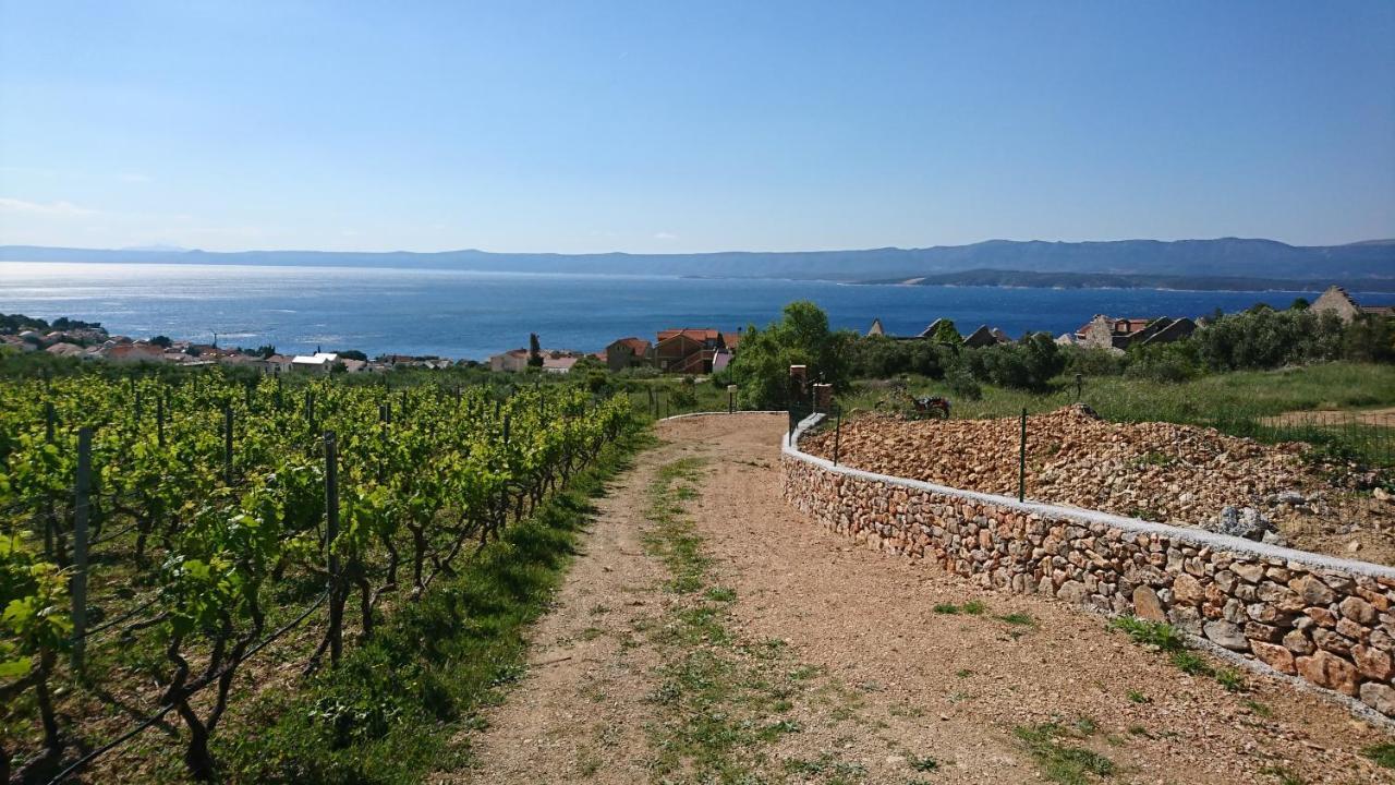 Holiday Home Vineyard House Bol Eksteriør bilde